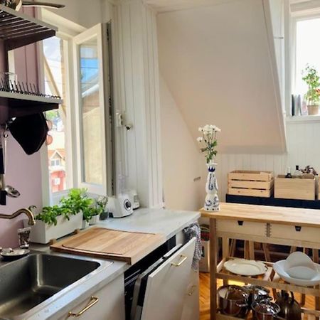 Big, Bright Apartment In The Center Of Zágráb Kültér fotó