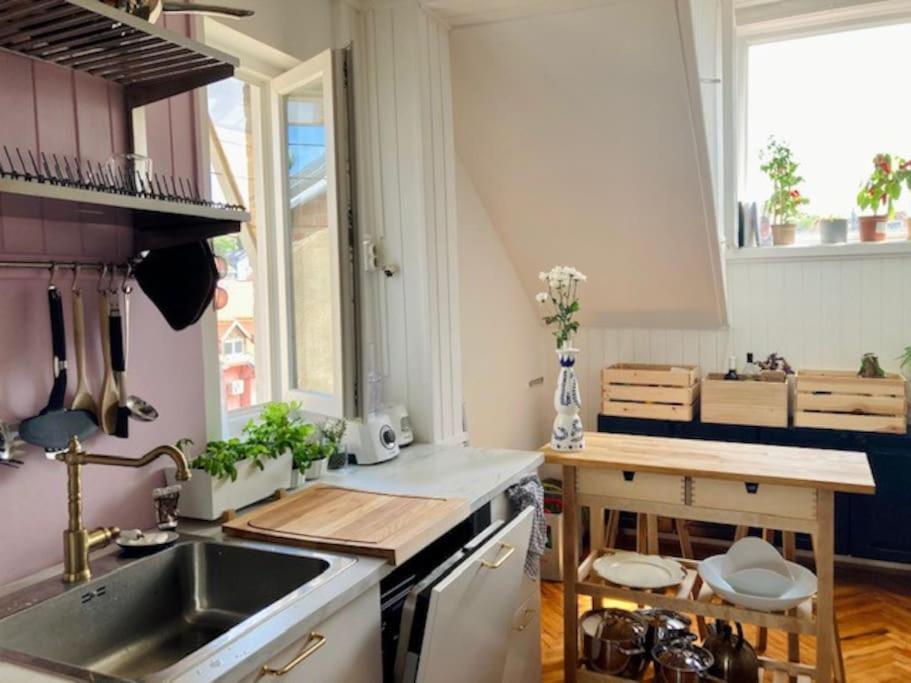 Big, Bright Apartment In The Center Of Zágráb Kültér fotó