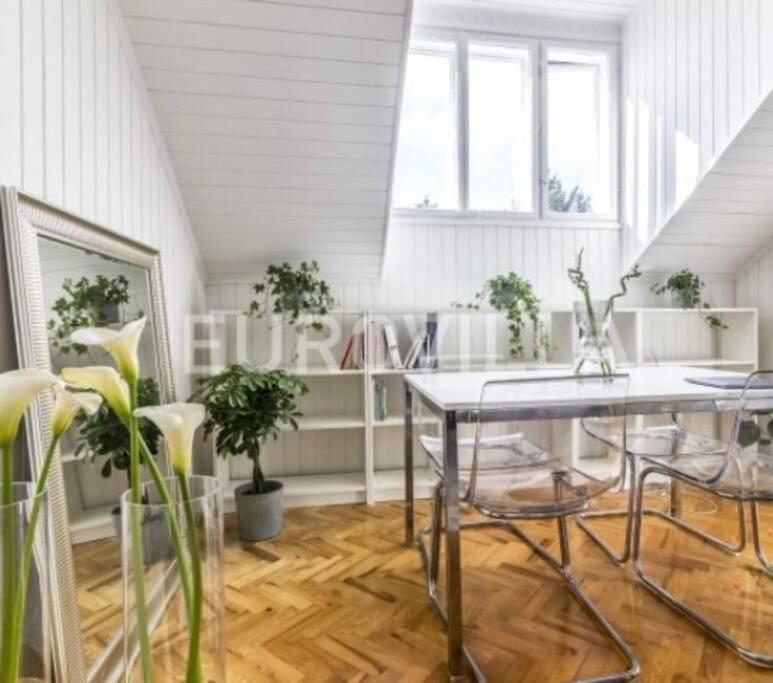 Big, Bright Apartment In The Center Of Zágráb Kültér fotó