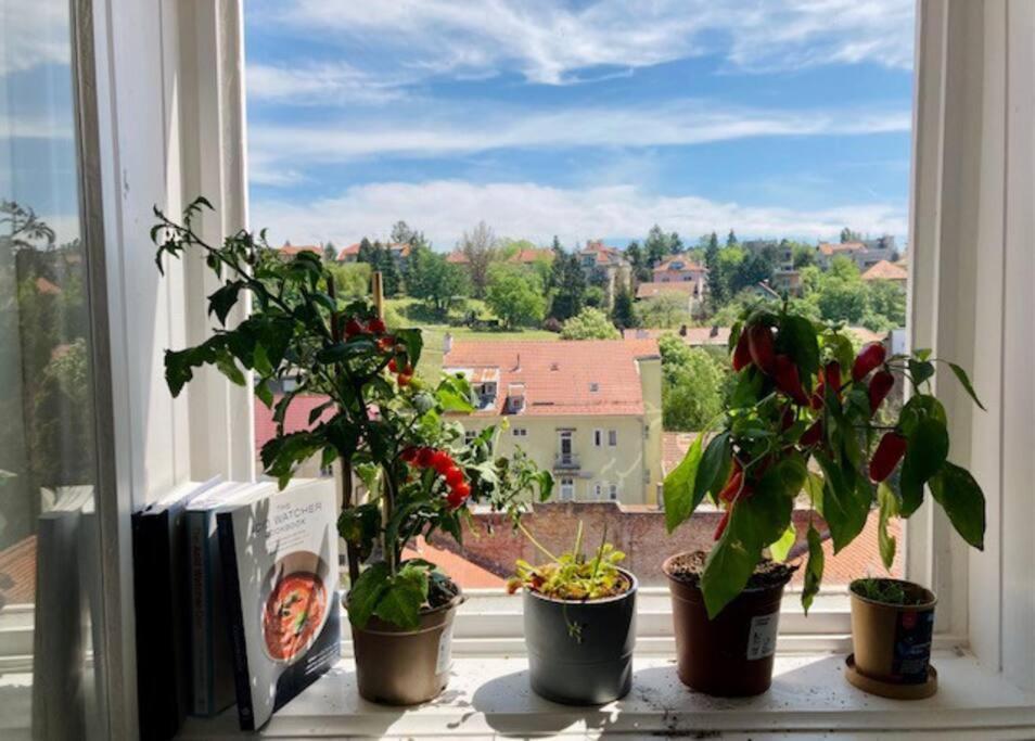Big, Bright Apartment In The Center Of Zágráb Kültér fotó