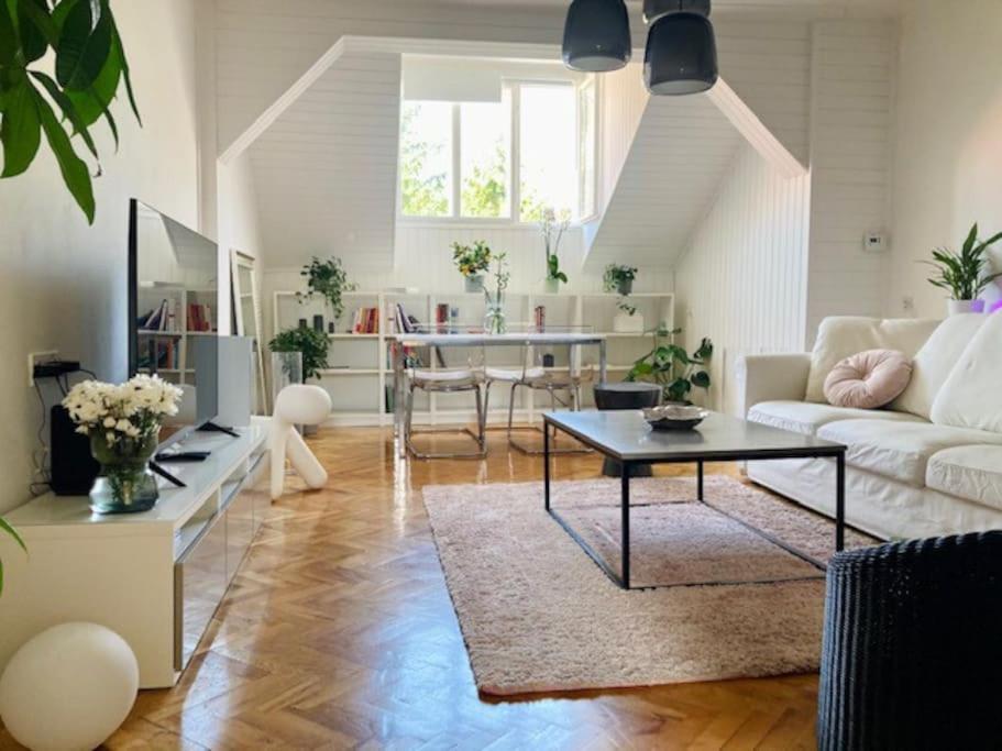 Big, Bright Apartment In The Center Of Zágráb Kültér fotó