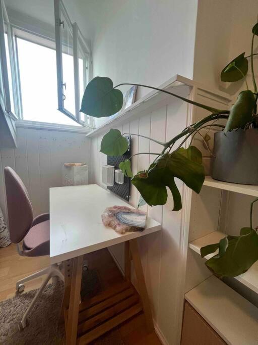 Big, Bright Apartment In The Center Of Zágráb Kültér fotó